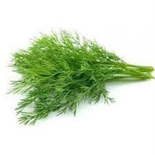Dill Herbs 50g